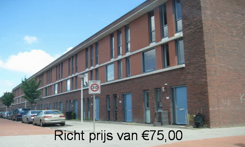 spinvrij.com
